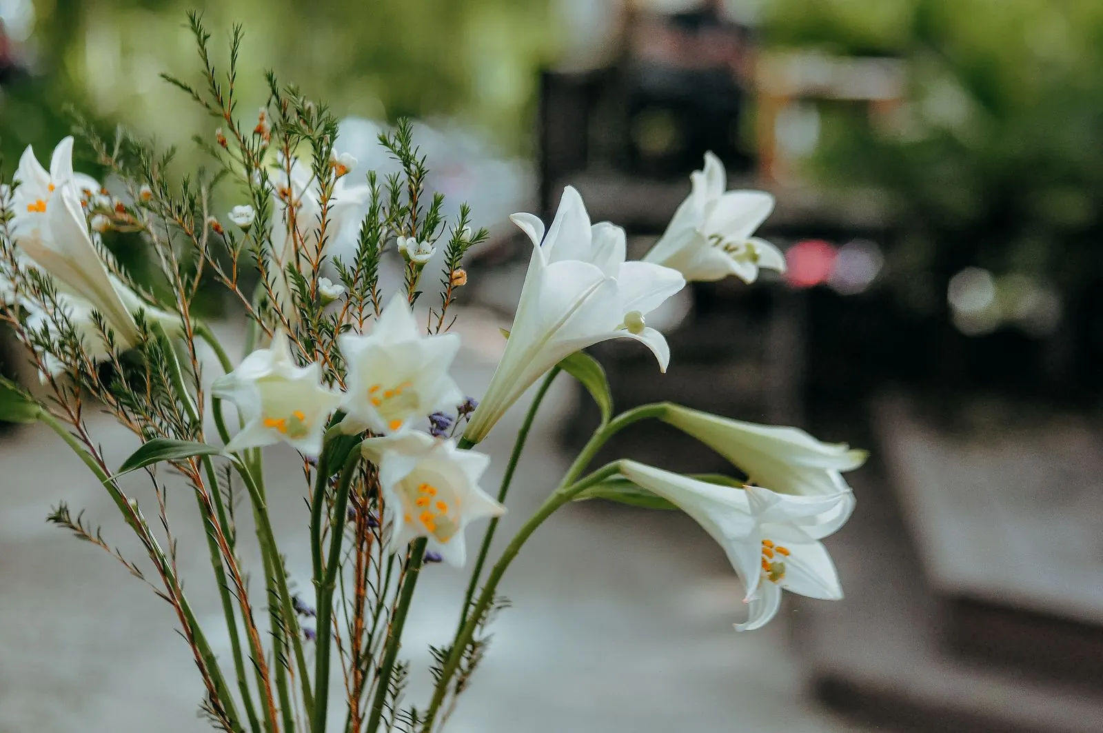 白色百合與細枝葉組成的花束，背景為柔和的虛化綠意